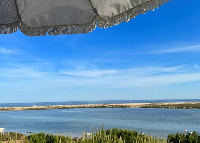The Beach House Roof